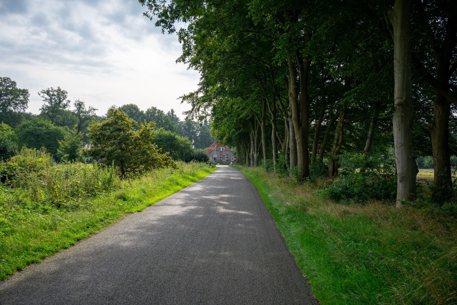 foto landweg.