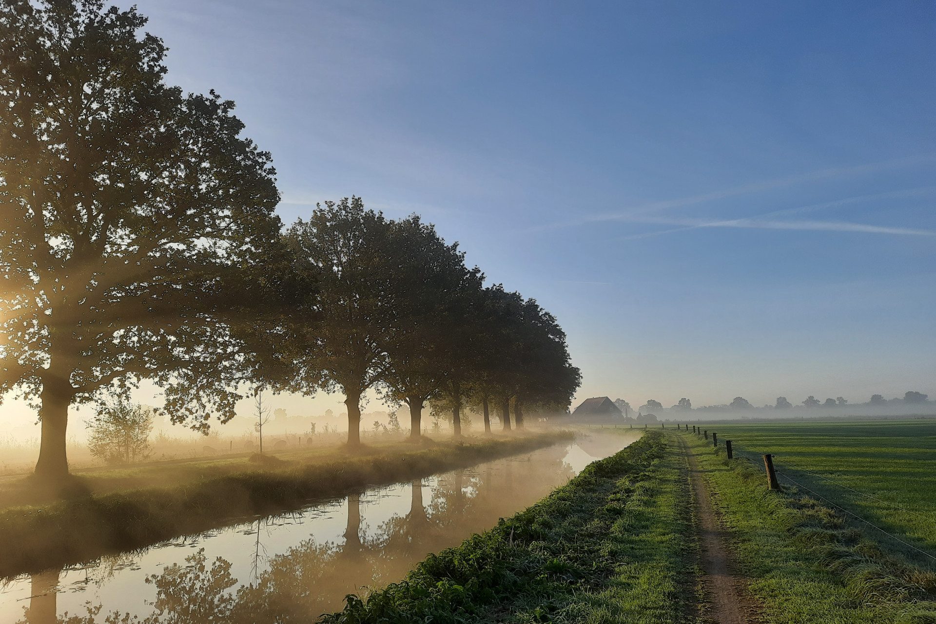 Grondgebruik