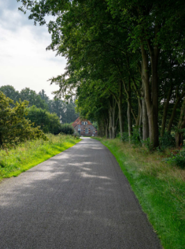 foto landweg